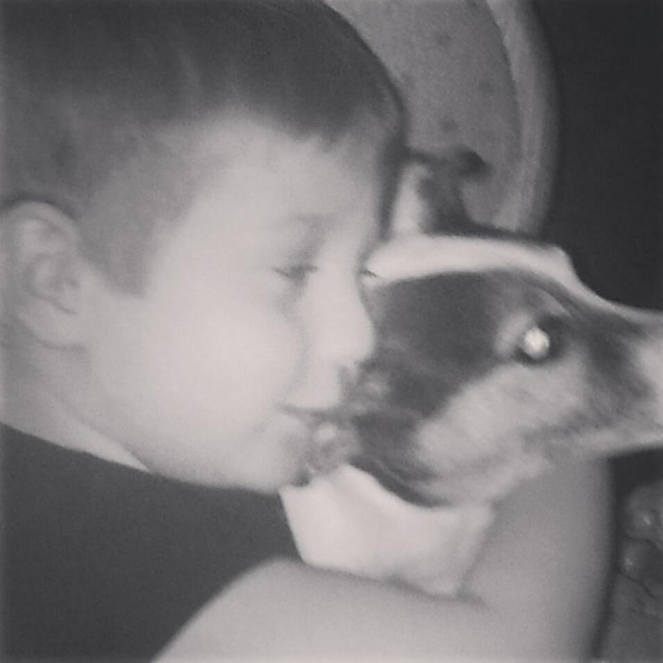 Peregrine H. Falcon and his first chickens A boy on a farm with his chickens